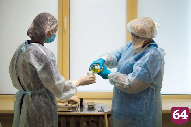 В Саратовской области ребенок и пенсионерка попали в больницу после нападения кошек